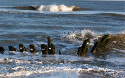 Shipwreck timber in the water