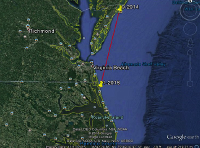 Timber 67 travelled 106 miles from Chincoteague to Corolla